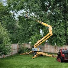 How Our Tree Care Process Works  in  East Cleveland, TN